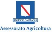 codice fiscale estremi del riconoscimento b) Altri componenti (in caso di ATS) b1) Denominazione e ragione sociale, tipologia (ente pubblico/privato, etc.