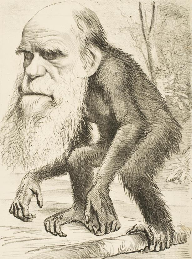 Viene rilanciato da Charles Darwin nel quadro della teoria dell evoluzione per selezione naturale L origine delle specie (1859) La discendenza dell