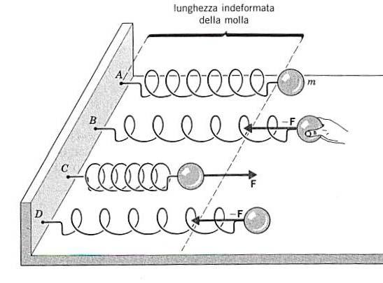 Cure di Poenziale E possibile meere in grafico l andameno del poenziale di una daa forza Energia Poenziale 50 45 40 35 30 5 0 5 0 5 0 Forza Elasica K 3.