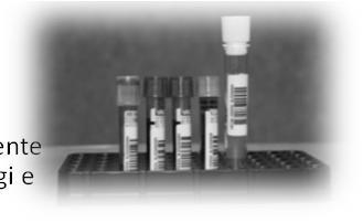 prevalentemente da epatociti, macrofagi e cellule di Kupffer E correlata con il compartimento di deposito del ferro (1 mg/l = 8-10 mg di ferro