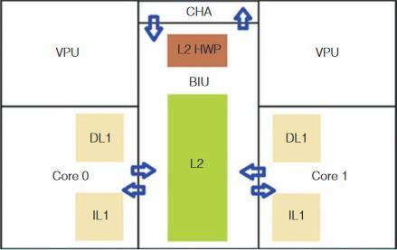 Figura 8 [6] Quindi il processore KNL possiede una memoria cache IL1 e DL1 per ogni core e una memoria cache L2 per ogni tile, connessa alle altre attraverso una rete a maglia.