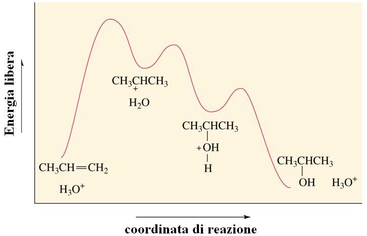 Reazione di idratazione di alcheni: addizione acido-catalizzata di acqua Da questa reazione si ottengono alcoli