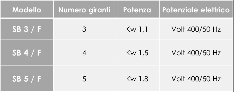 serie SBF GRUPPI DI POMPAGGIO PER BENZINA E GASOLIO Caratteristiche esclusive delle elettropompe sommerse: L'elettropompa è incapsulata in una camicia di acciaio inossidabile.