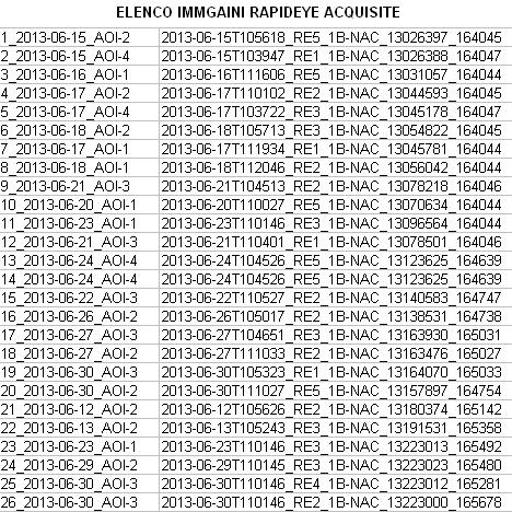 Acquisizione immagini satellitari Dato RapidEye Acquisite 26 immagini (15-30 giugno)