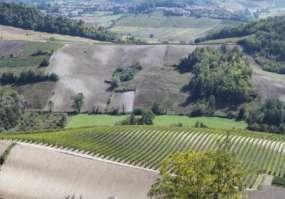 CONFIGURAZIONE FISICA QUATTRO AREE OMOGENEE Area Nord-Ovest Colline elevate e aspre Valli ora ampie ora strette Area Nord-Est Colline basse e dolci Valli ampie Prevalenza di seminativi e boschi