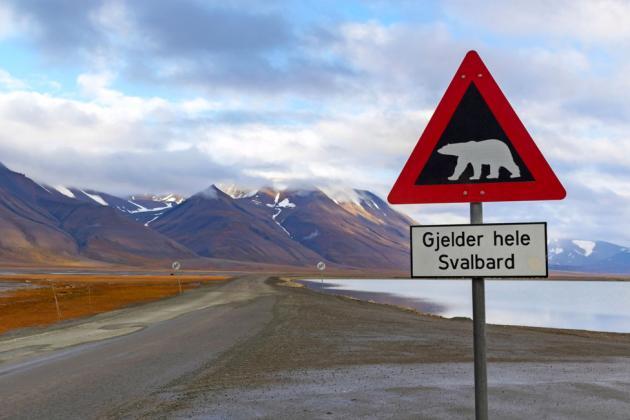 CROCIERA ALLE SVALBARD 1 maggio in crociera nel Mar Glaciale Artico Dal 29-04-2019 al 09-05-2019 Un' esperienza unica nella vita!