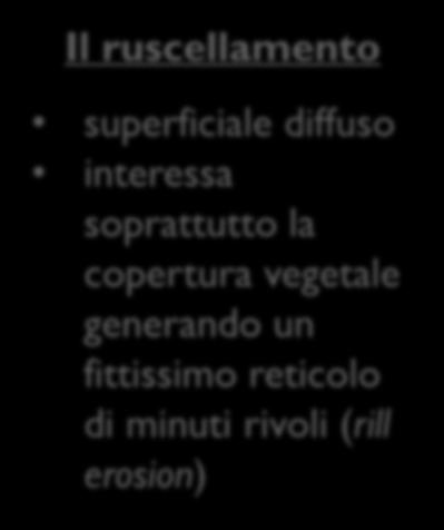 una generalizzata e marcata erosione idrica per rigagnoli e fossi Il ruscellamento