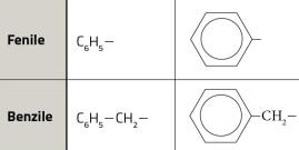 Gruppi arilici I gruppi o radicali arilici sono composti che presentano un atomo di idrogeno in meno rispetto alla molecola dell idrocarburo aromatico da cui derivano.