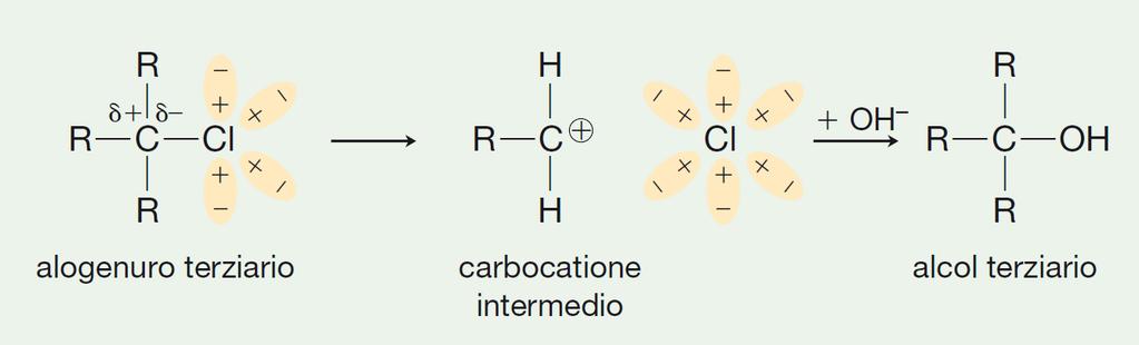 La sostituzione nucleofila S N 1(II) Un esempio: formazione di un alcol terziario