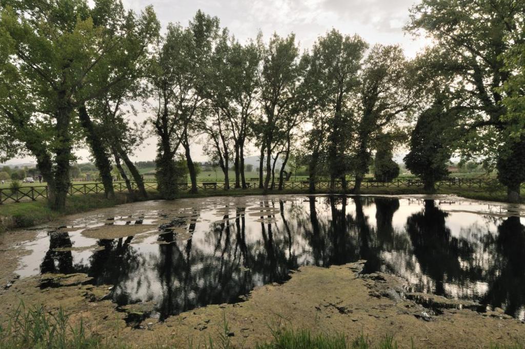 Il lago d Aiso rappresenta un altro biotopo di estremo interesse da un punto di vista naturalistico.