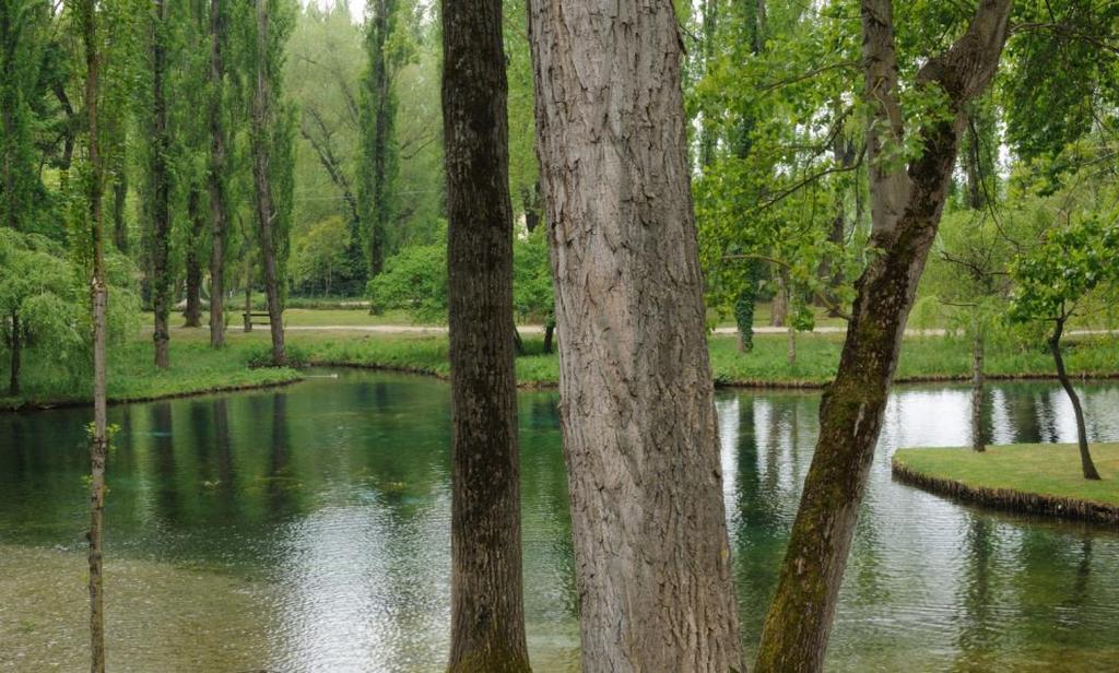 Il fiume Clitunno rappresenta un biotopo unico in Umbria: è uno dei pochi esempi di fiume di risorgiva, alimentato da sorgenti a portata costante con un percorso interamente