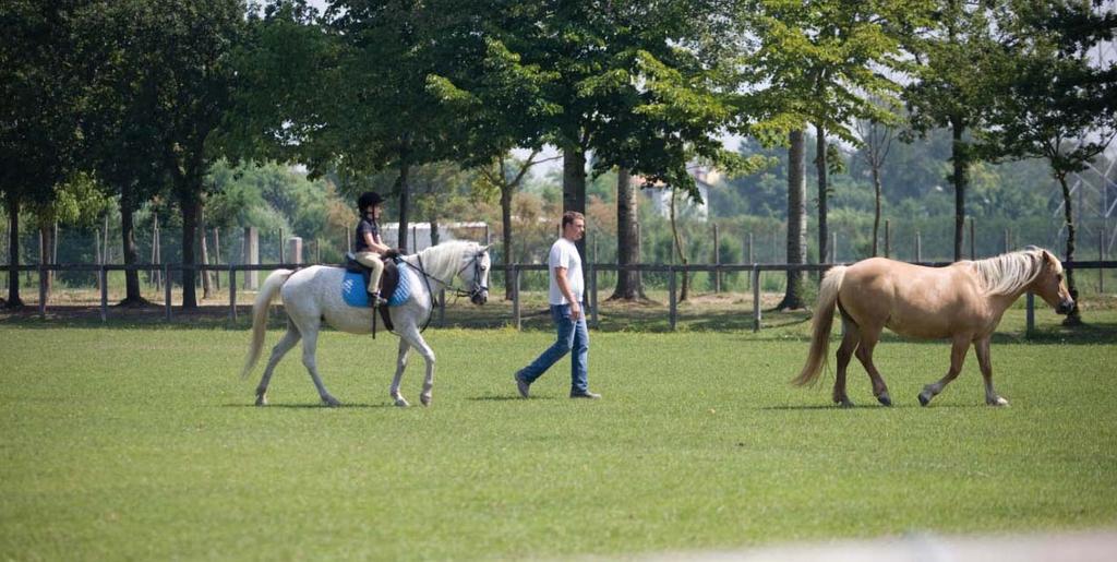 EQUITAZIONE Presso Il Cavallino Sport Center, il centro di equitazione, aperto tutto l anno, propone lezioni con istruttore per adulti e bambini.