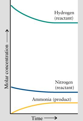 Reazioni all equilibrio In alcune reazioni i prodotti aumentano fino ad un certo livello e poi raggiungono concentrazioni stabili.