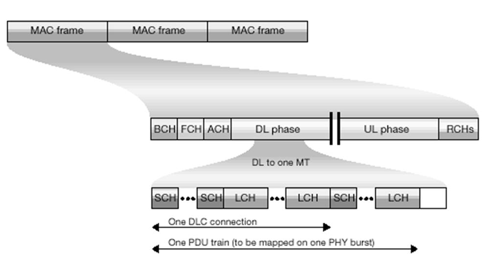 DLC: MAC Sublayer Basic frame