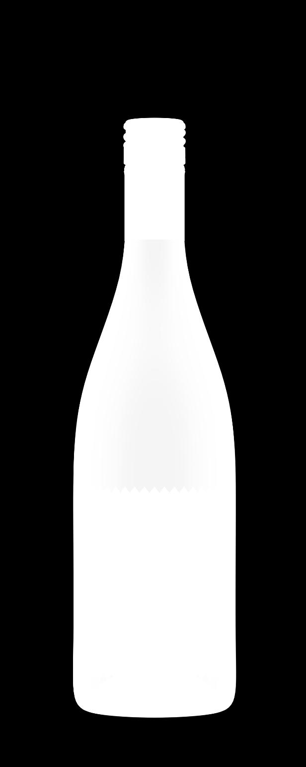 VOGELSANG Grüener Veltliner 100% Grüner Veltliner Annata 2016 Weinviertel (nord Est della Bassa Austria) Altitudine vigneti Età me