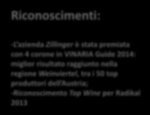 Fermentazione spontanea in tini di acciaio inox senza controllo di temperatura. Ossidazione del mosto seguita dal riposo sui lieviti per 1 anno.