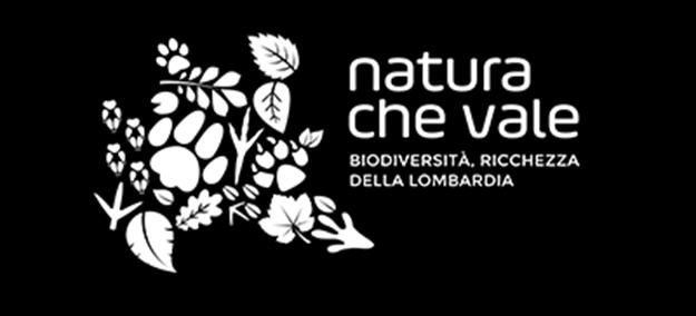 LIFE L attuazione in Italia di LIFE in Italia 2 Progetti integrati italiani LIFE IP GESTIRE 2020 - Nature Integrated Management to 2020 (LIFE14 IPE/IT/000018): 6