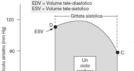 Gittata sistolica = quantità di sangue pompata da