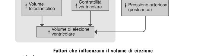 riduzione dell attività del simpatico associata ad un