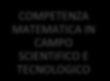 MATEMATICA IN CAMPO SCIENTIFICO E TECNOLOGICO COMUNICARE NELLA LINGUA