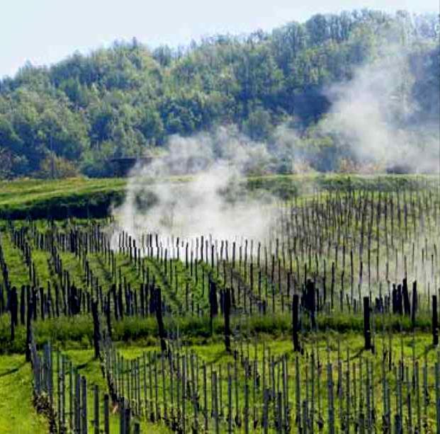 Deriva (Drift) (Trasporto di un fitofarmaco fuori bersaglio) Deriva