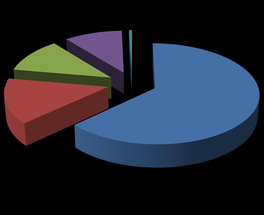 Elenchi professionisti antincendio: distribuzione percentuale per categorie DATI