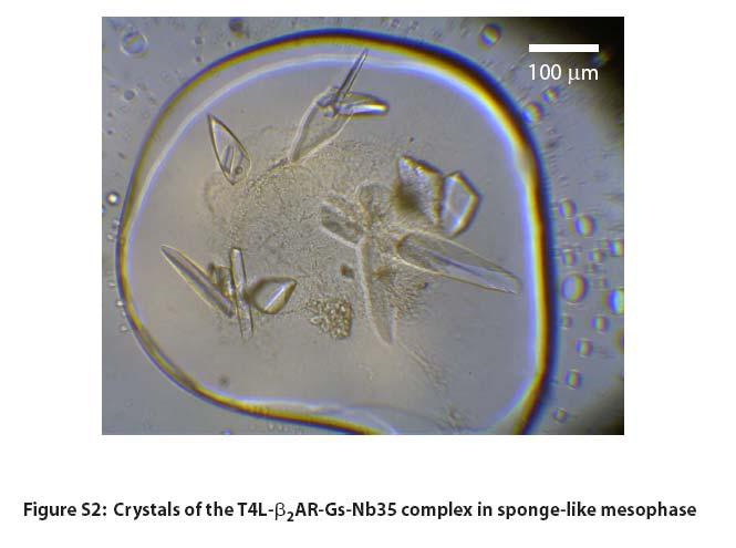 2011) doi:10.