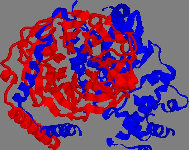 residui 227-238. gs 2001-2012 ver 2.0 N03 - psina e visione 57 Proteine G subunità β La struttura della subunità β dell eterotrimero è estremamente interessante.