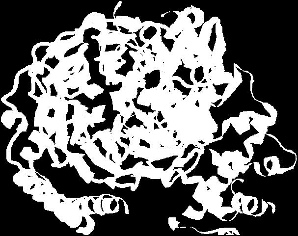 Proteine G subunità β La struttura della subunità β dell eterotrimero è estremamente interessante.
