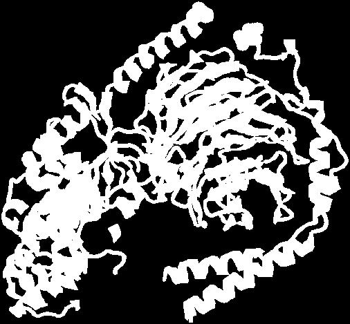 geranilgeranile al C-terminale I due terminali sono giustapposti suggerendo una stretta interazione con il bilayer. gs 2001-2012 ver 2.