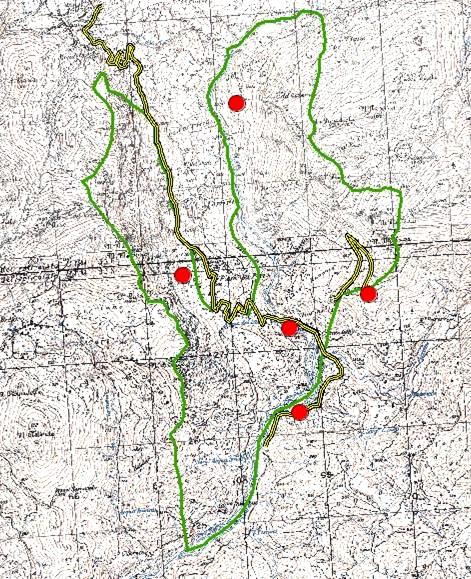 Nottola di Leisler Nyctalus leisleri, specie spiccatamente forestale. Fig. 2.