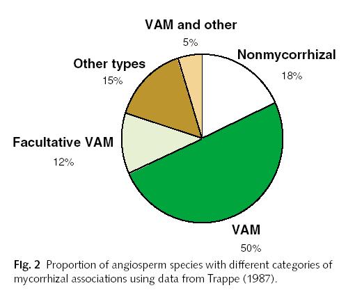 without their mycorrhizas is the study of artefacts.