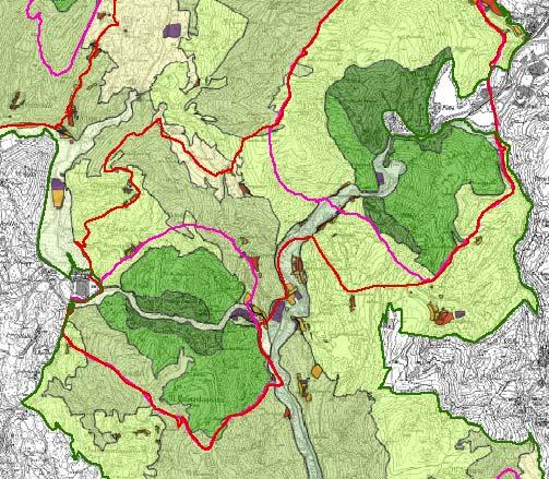 026 ettari Comuni: Arcevia,Cerreto d Esi, Fabriano, Genga, Serra San Quirico