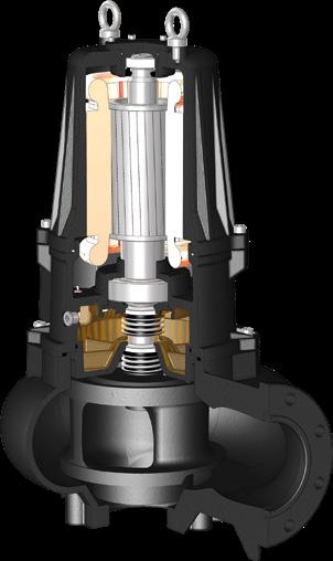 motor Rotore - Rotor Cuscinetto inferiore - Lower bearing Porta motore - Motor holder Ghisa GG5 - Cast iron GG5 Tenuta meccanica - Mechanical seal Carburo di silicio - Silicon/Carbide (SIC/SIC/Viton)