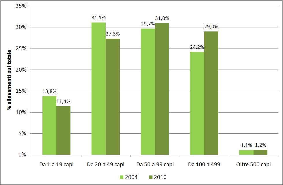 Distribuzione allevamenti per classe