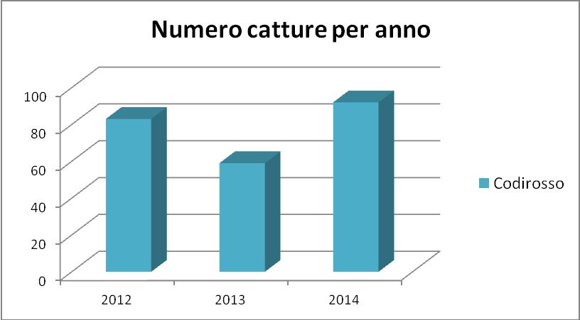 Grafici di cattura per anno