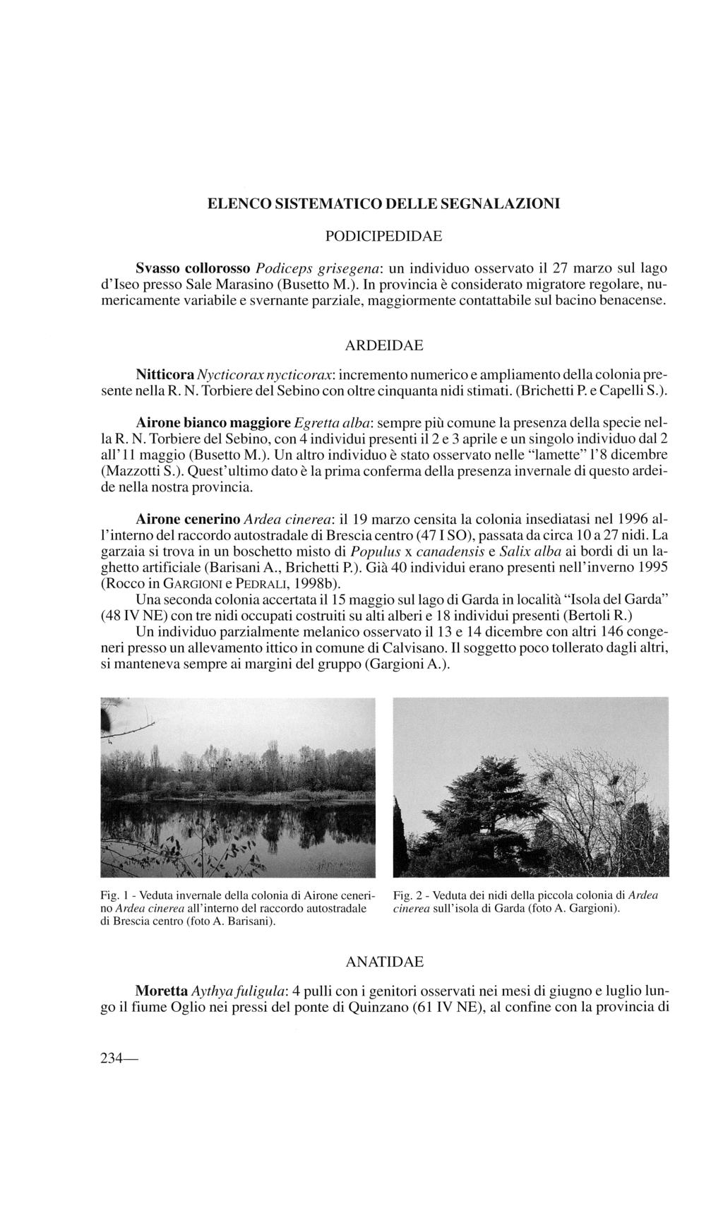 ELENCO SISTEMATICO DELLE SEGNALAZIONI PODICIPEDIDAE Svasso collorosso Podiceps grisegena: un individuo osservato il 27 marzo sul lago d'iseo presso Sale Marasino (Busetto M.).