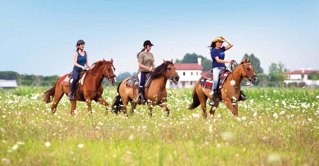 EQUITAZIONE Presso Il Cavallino Sport Center, il centro di equitazione, aperto tutto l anno, propone lezioni con istruttore per