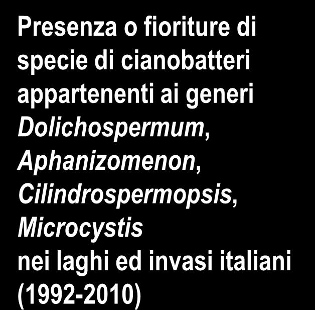 Maggiore: Dolichospermum lemmermannii (10) Aphanizomenon flos-aquae (4), Microcystis aeruginosa (2) Massaciuccoli: Microcystis aeruginosa (15) Trasimeno: Microcystis aeruginosa (15),