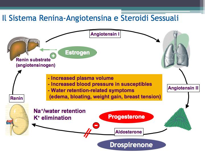 Angiotensina I c + Angiotensinogeno (substrato della renina) estrogeno Renina c Aumento volume plasmatico Aumento PA nelle donne suscettibili Sintomi da ritenzione