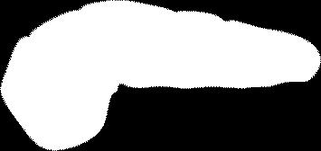 Glucagon from alpha cells (GLP-1) Glucose uptake