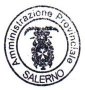 C.I.D. 30657 PROVINCIA DI SALERNO Sett. PIANIFICAZIONE, GOVERNO DEL TERRITORIO E PROGRAMMAZIONE ECONOMICO-TERRITORIALE Dir. Castaldo dott.