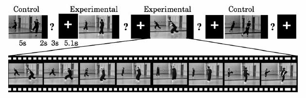 Osservazione e immaginazione di movimenti di danza moderna precedentemente praticati