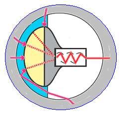 I sensori di luce La luce prodotta dal muone è bassissima e sono necessari particolari sensori ottici (detti fotomoltiplicatori) per