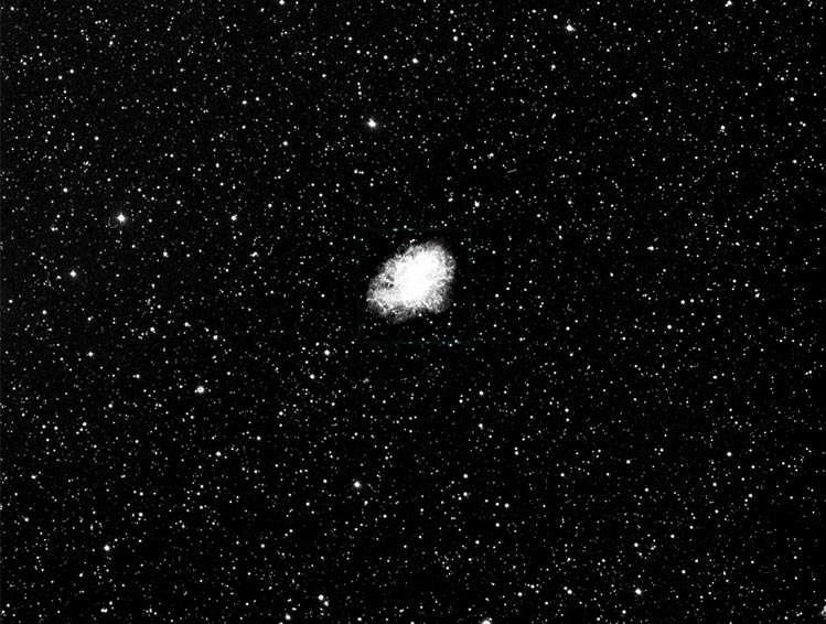 Sonde differenti ci svelano i segreti delle stelle La nebulosa del Granchio è uno degli oggetti