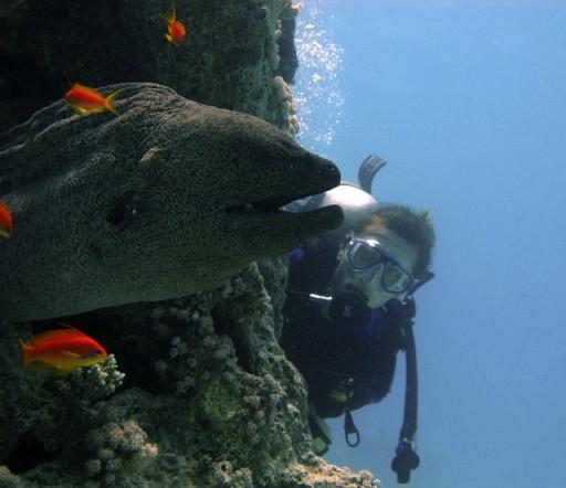 I Relitti Thistlegorm Lungo 131 metri, il Thistlegorm era un cargo inglese utilizzato per trasportare armi durante la seconda guerra mondiale.