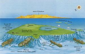 Durante gli anni la vita marina si è impossessate delle lamiere delle navi creando degli ecosistemi fantastici; la presenza dei Delfini è quasi costante durante