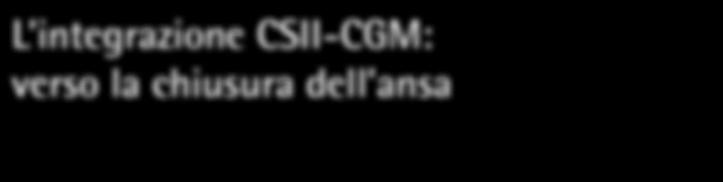 Editoriale Giorgio Grassi Il Giornale di AMD 2010;13:49-54 L integrazione CSII-CGM: verso la chiusura dell ansa Giorgio Grassi giorgio.grossi@unito.
