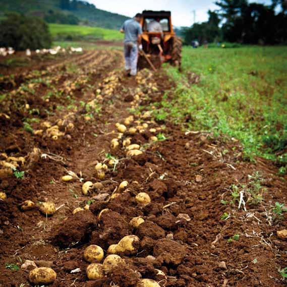 per rispondere alle esigenze reali di ogni azienda agricola COS è IMPRESA AGRICOLTURA è la