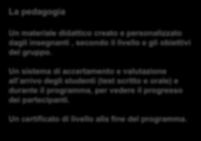 CORSI E PROGRAMMI PER GRUPPI SCOLASTICI STAGES ALTERNANZA SCUOLA-LAVORO Corso intensivo o semi-intensivo + Immersione Aziendale Da 1 a 4 settimane Max gruppi di 15 studenti Gli studenti sono inseriti